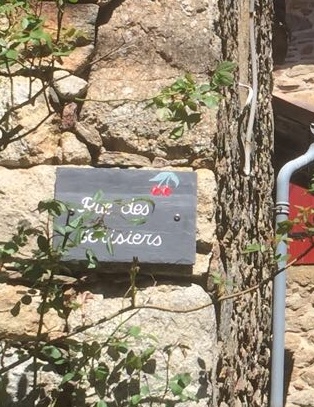 40AD329F-5B21-4D65-99E5-A652E8C94E97