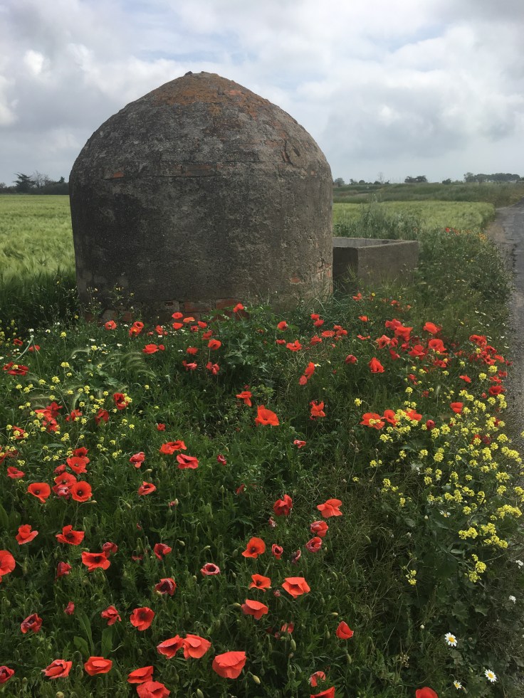 4233991C-9E3F-49F3-AA8B-F8F76FA8EFBB