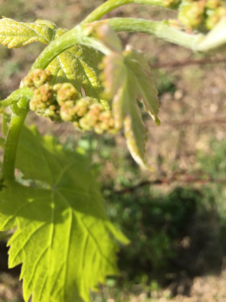 9A674527-CAD2-4407-9D79-6133B16C2B13