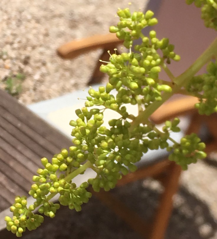 F59872DD-A6D0-41C4-B98C-01740FA792C9