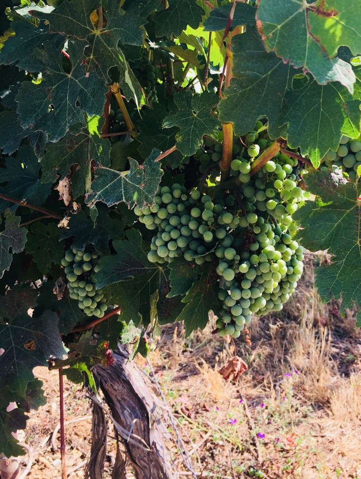 7ABFBED5-5DF3-4453-B8CC-6B93227100D7