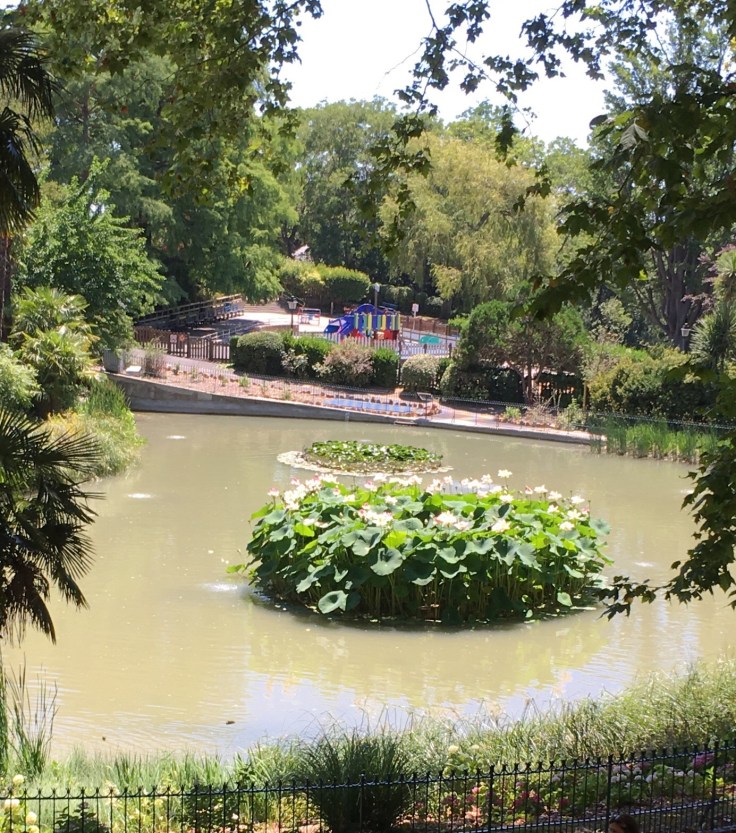 B8DE68EA-A765-4F43-B907-E27D7E802D4D