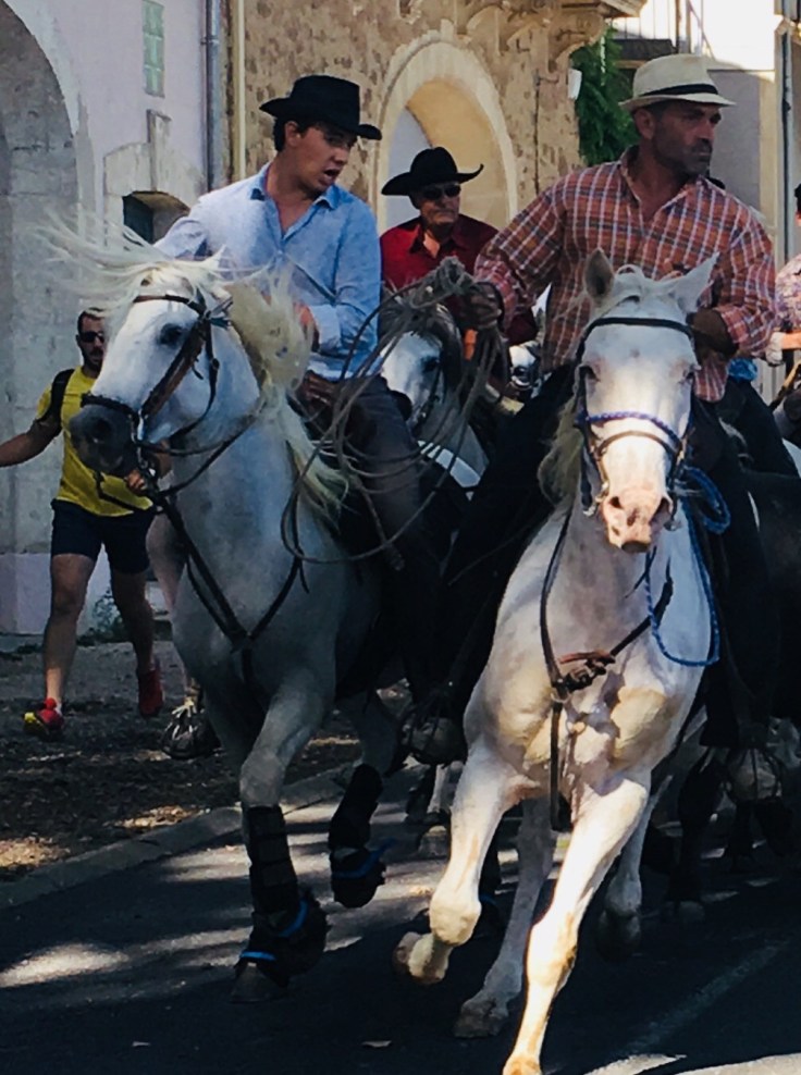 1093A9D0-A51A-4AE2-8371-E16194041A8B