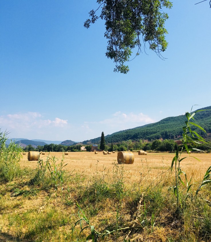 1C4A410A-3341-4D36-9B74-3E240DFDE3FF