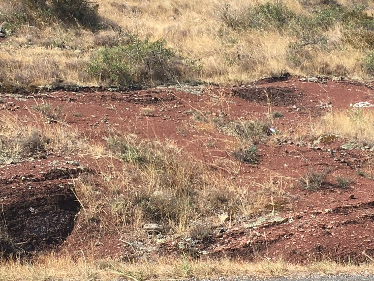 36C95B40-3F6D-4713-A6B2-C5D335EECBD2