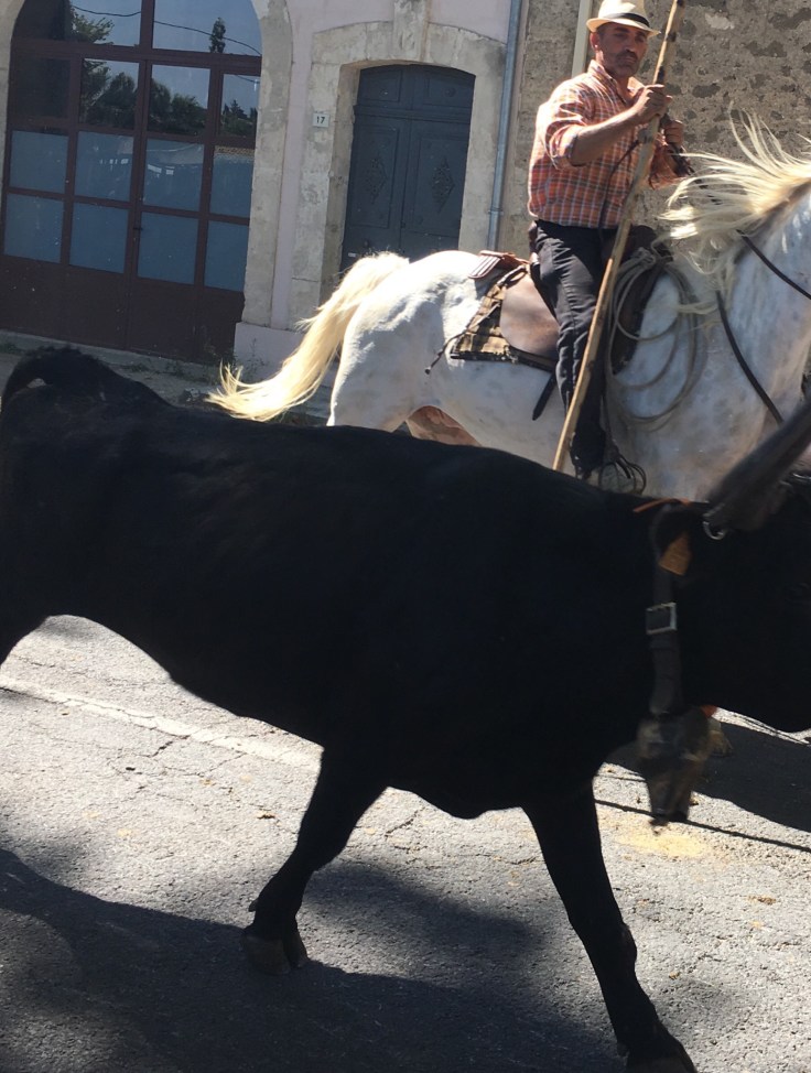 4ECECBA5-B073-4C4B-A329-E4F932634947