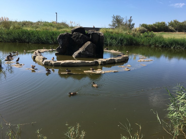 8CA9DFDE-FB33-420B-B81F-1209041A76A1