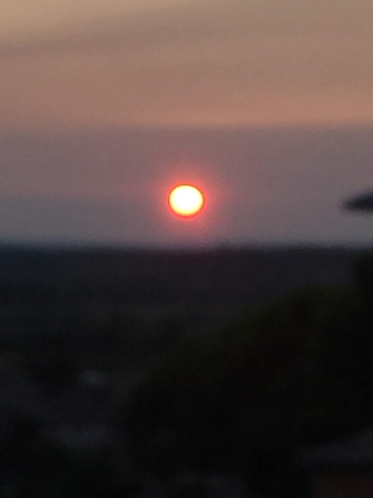 C50FB555-93DB-4A54-97A8-E675E51FB65D