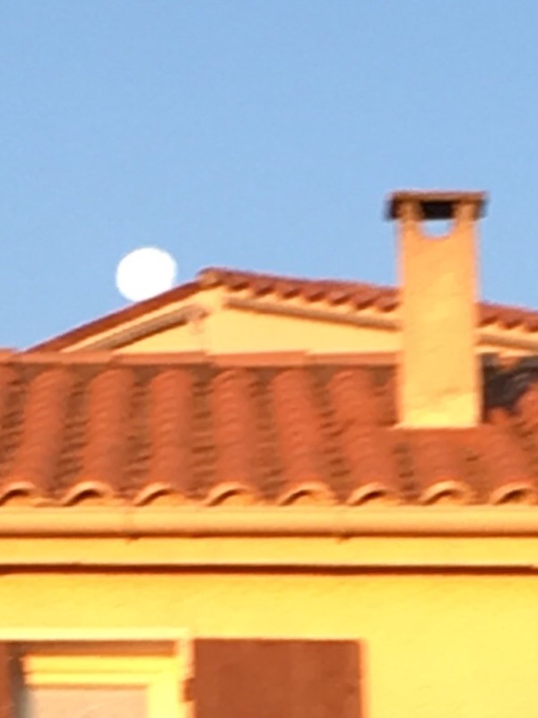 EF870DB0-A47B-4A25-938A-5066770C14A7