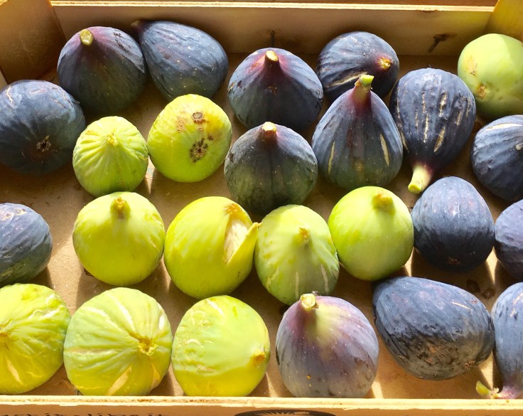 FC9A4222-1664-4856-B4DE-D27DC863502B