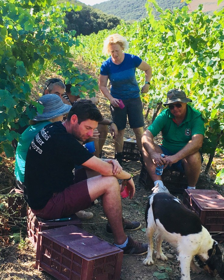 13E33745-14A4-4EBA-AC3D-73AF2E14852B