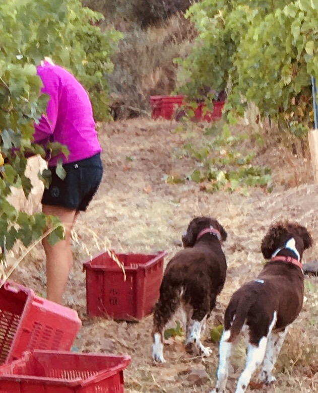 7F7D1101-474B-40A3-9C94-8D5D73458877