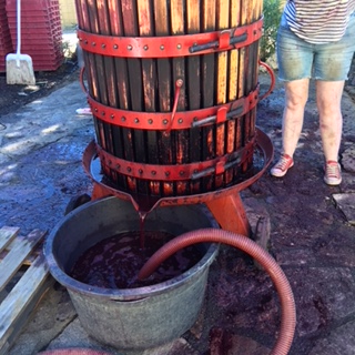 1542B649-FF74-45CB-907D-3630705EC16D