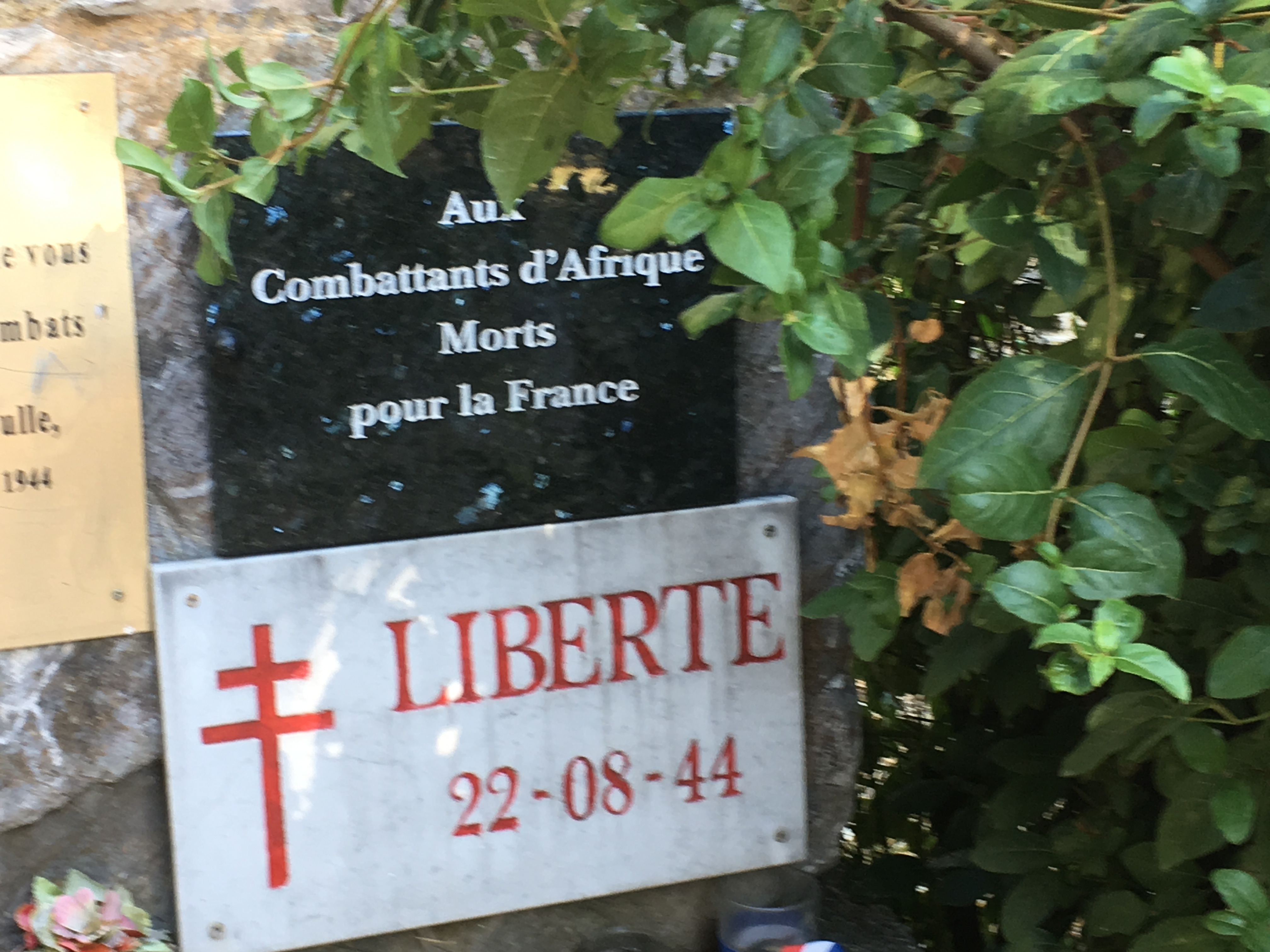 38569AB5-8C9F-41E8-AEA6-91D72E0CE7F3