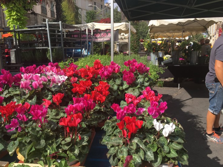 617B9DF0-8433-4FAC-BB99-81D68A45A41F