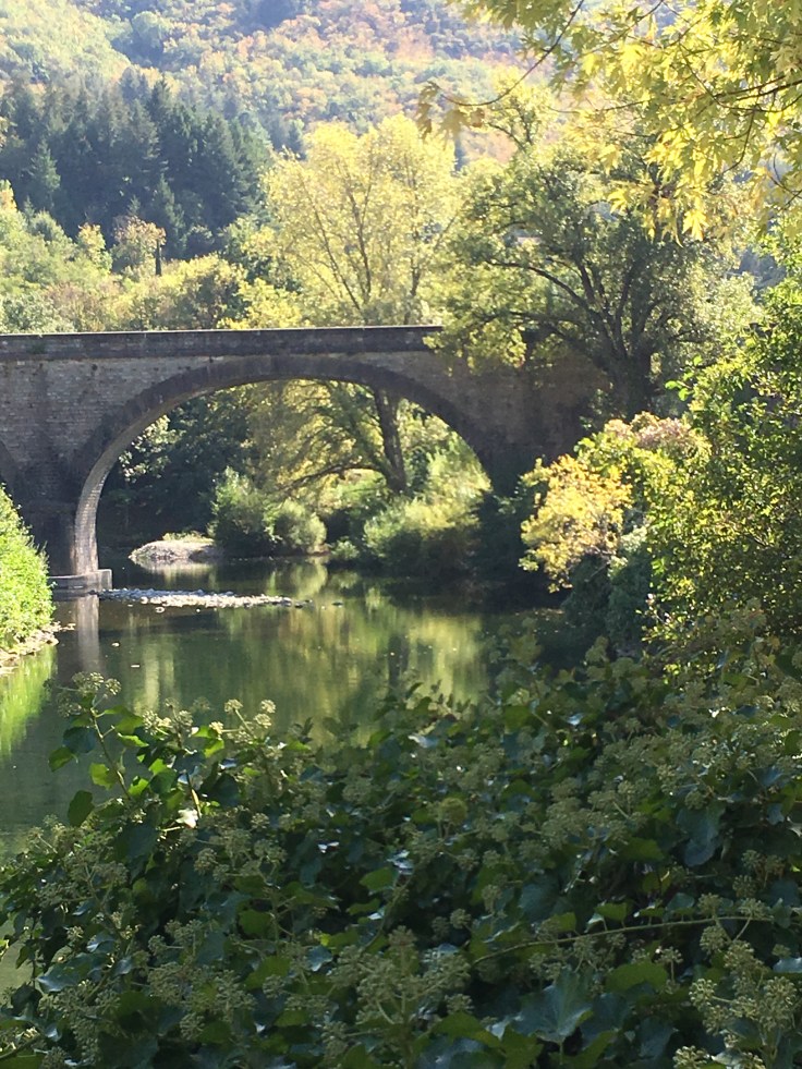 6450628E-34F3-4423-9009-D11454AEAE28