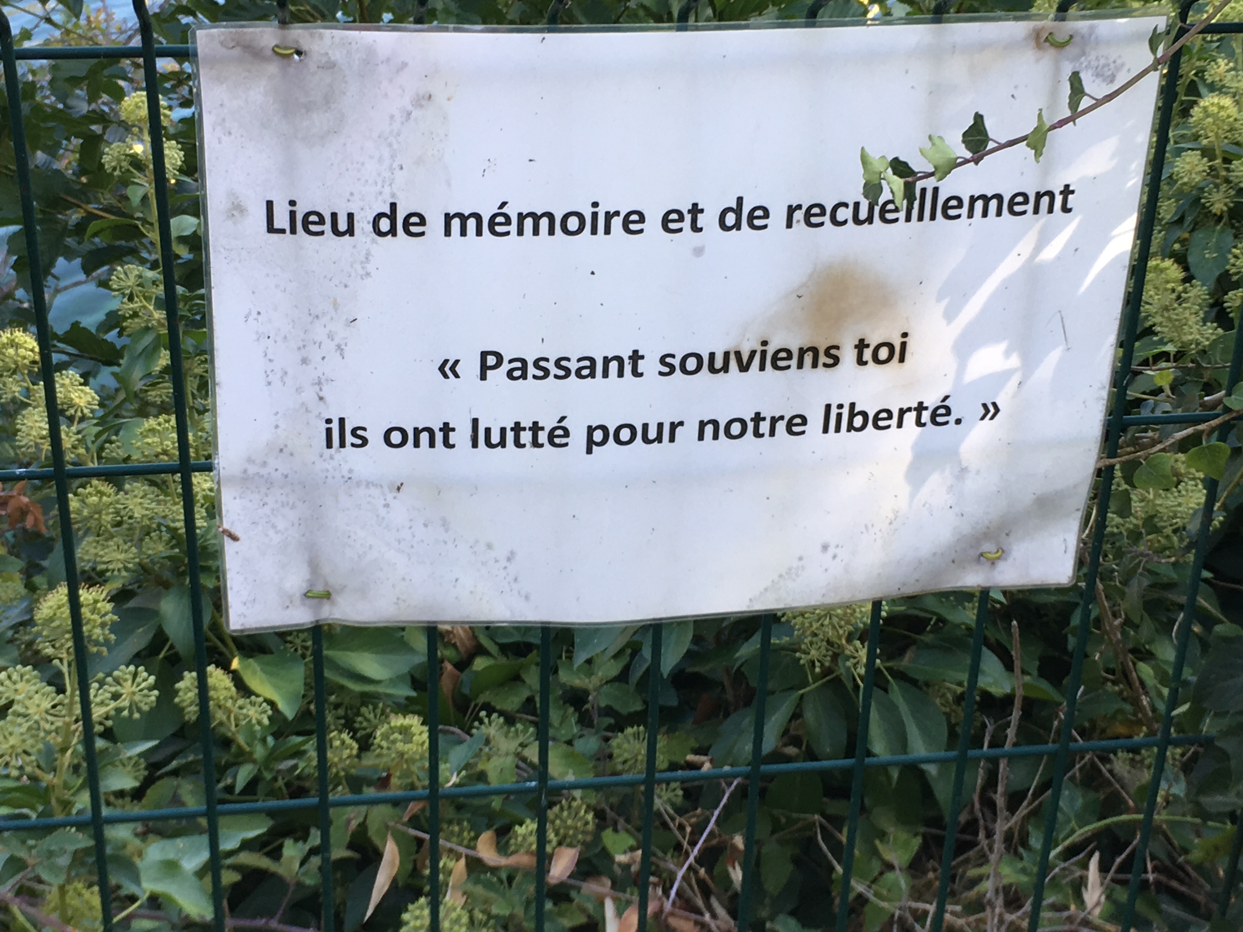 A311CBDF-0975-49EE-BA23-B889851647B9