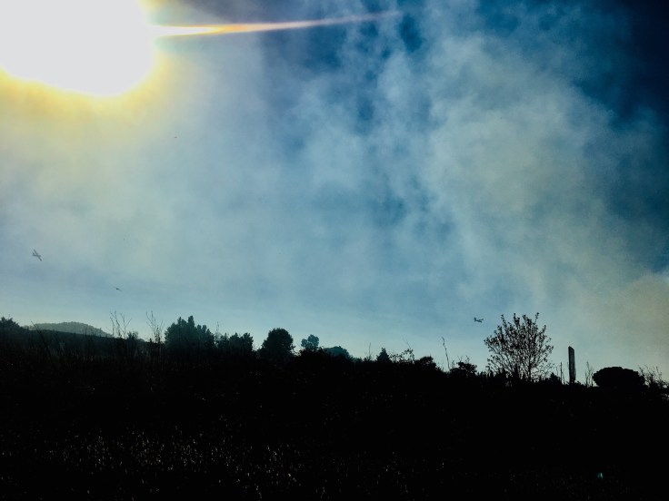 F156E69B-F924-48DA-9AB1-351E07081706