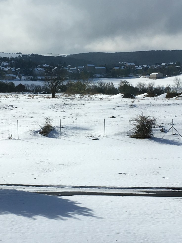 35D4673C-C0BA-47E5-96CC-128C1B8766E1