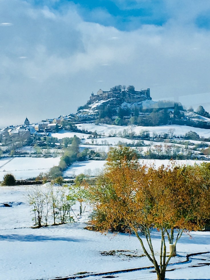 396A3079-845F-4BB0-9EE9-5D800418C574