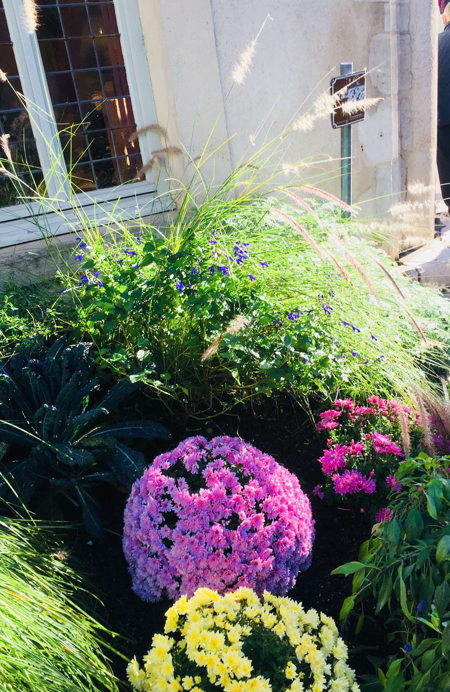 DD23003E-7576-42DA-8FE9-92C448D1015B