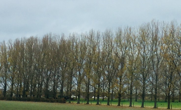 E3E00AB6-C317-4653-B59E-EE08229286B4