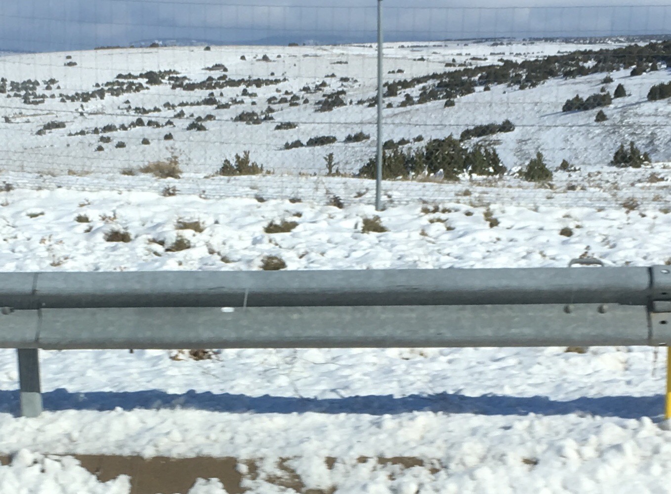 E3E92992-4F25-4FE9-821B-787711A47421