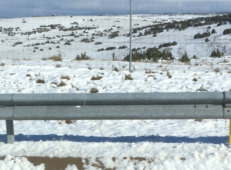 E3E92992-4F25-4FE9-821B-787711A47421