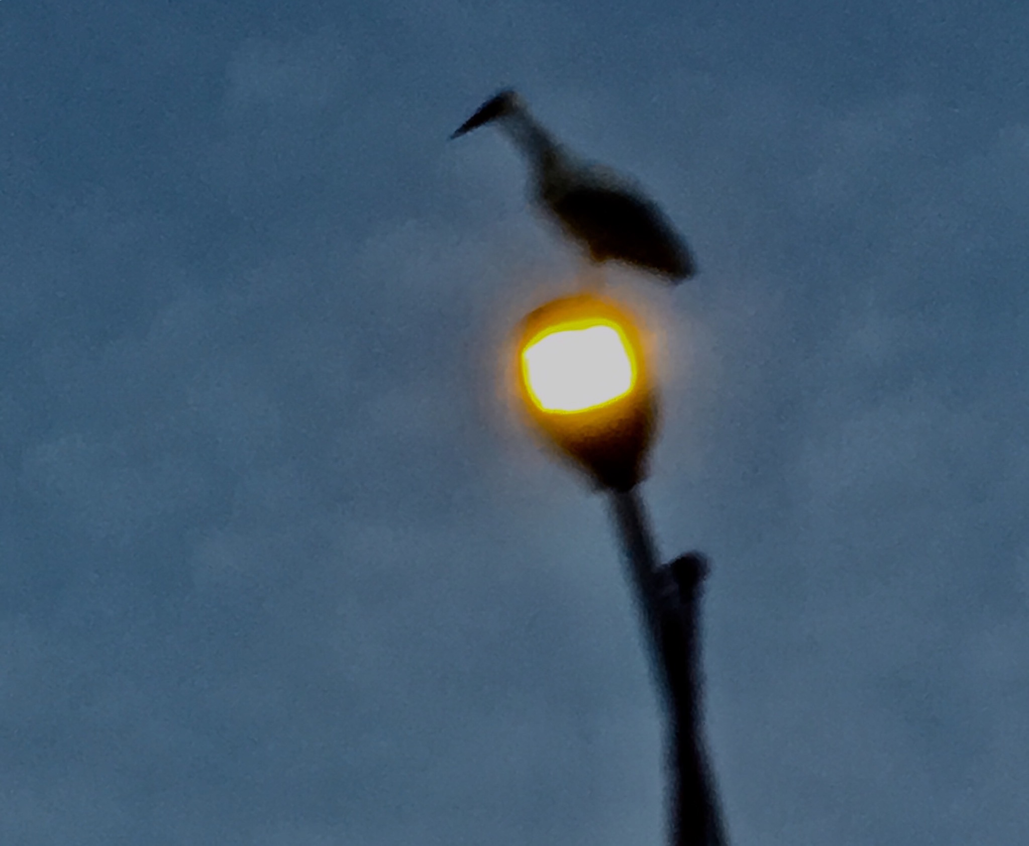 239758F5-D22C-4B1C-B168-06F241106DFF