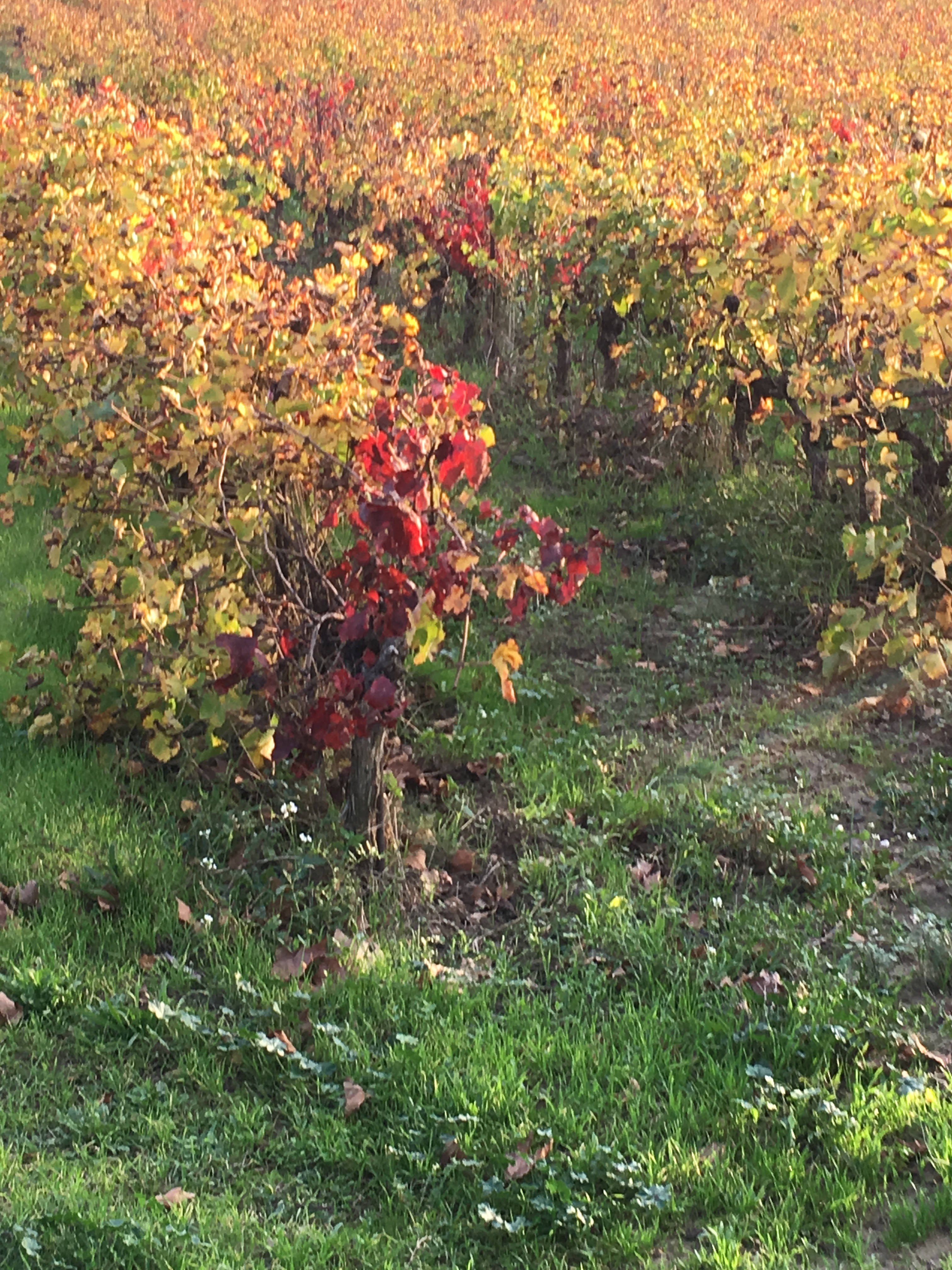 5422A0CC-E2C6-47FE-A46F-B4E241E89279