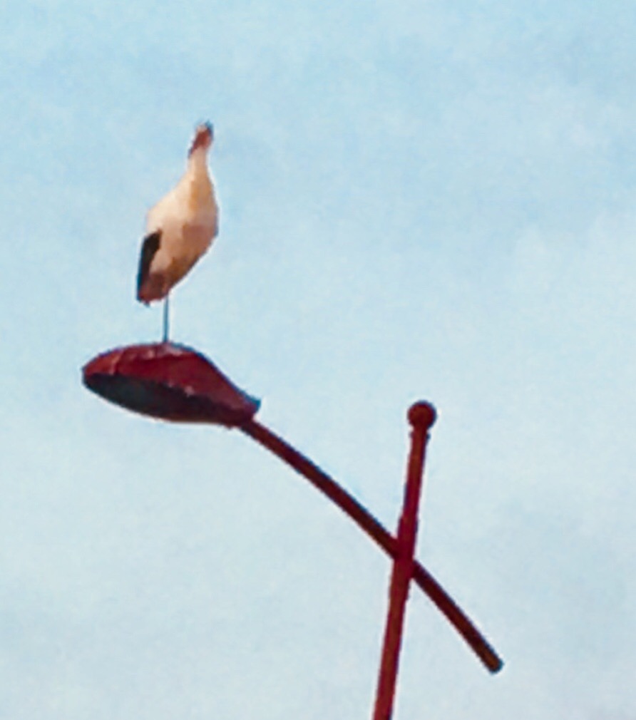 CFB424CA-8E77-4C9A-B761-D17D9E819C33