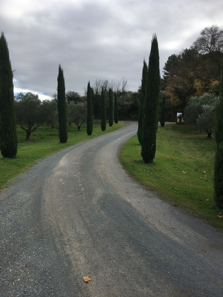 FA73A221-9F20-4B21-A080-F650C0ED6F9C