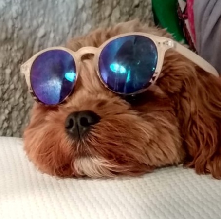 04D69CC2-484B-4955-920B-07E4838B1F02