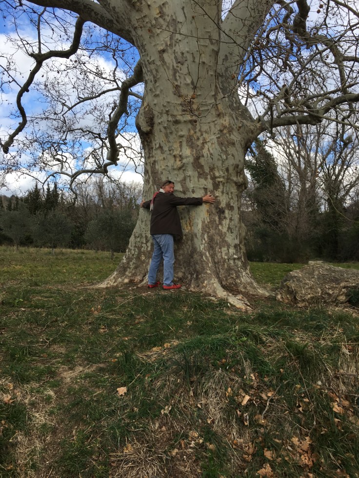 1616E5CF-AAE4-4CD9-B085-36D529AFB8FF