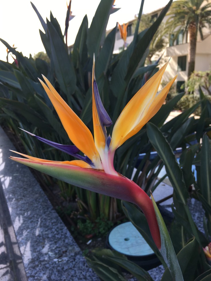 17CDF96D-1972-4BF7-AD8C-4FA2DC02E5A4