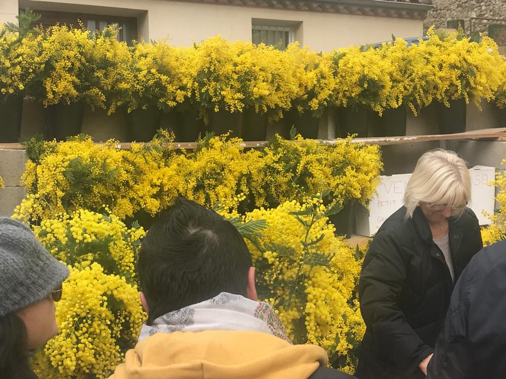 4AC83D5F-0C8F-4893-9319-FA3BFD836590