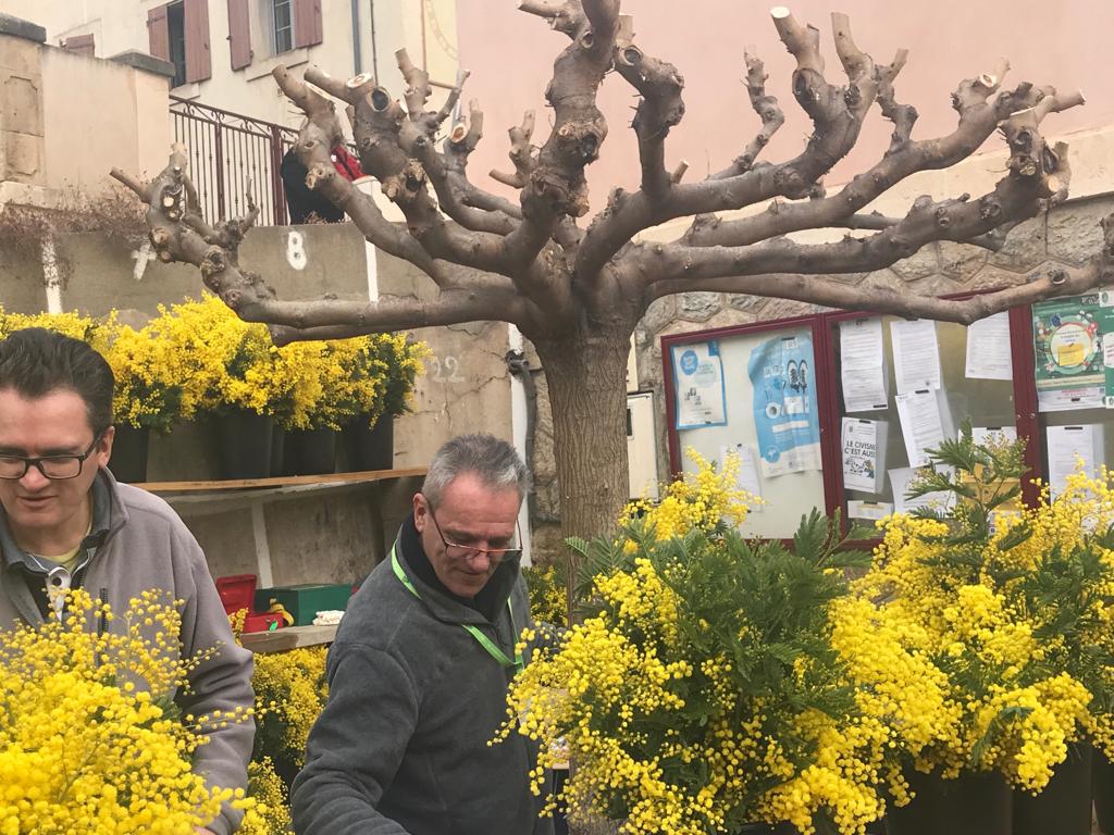 CA196635-E088-4775-BE1C-52C6D49AA3B1