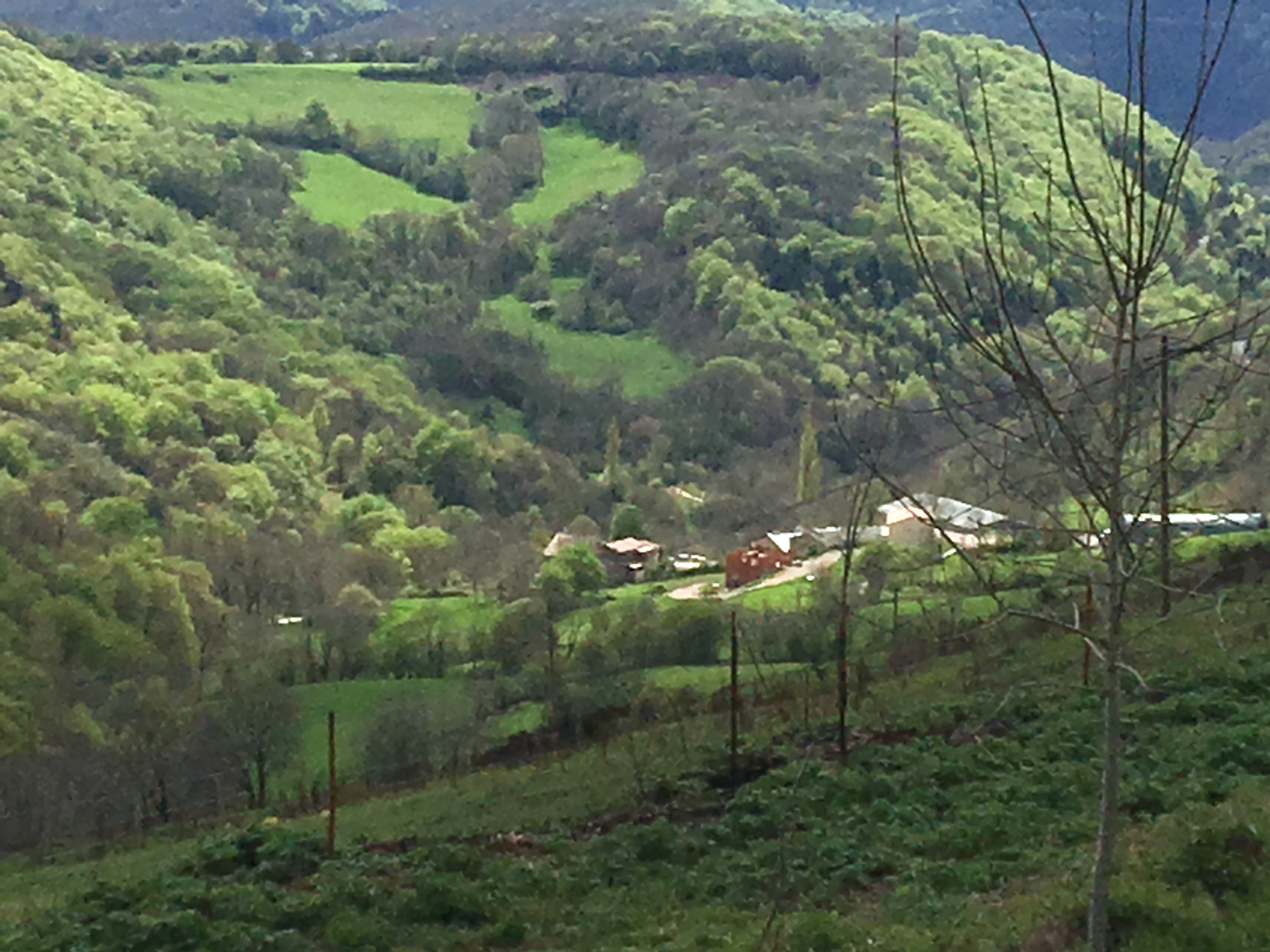 4332D70F-EC00-4E5F-9818-D69353F7D426